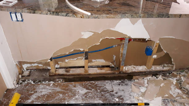 Best Water damage contractors near me  in Fannett, TX