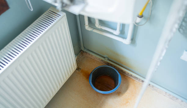 Best Ceiling water damage repair  in Fannett, TX